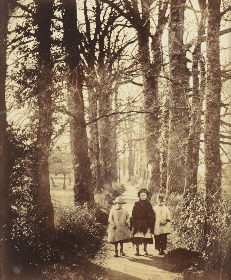 Three Little Girls on Wooded Path