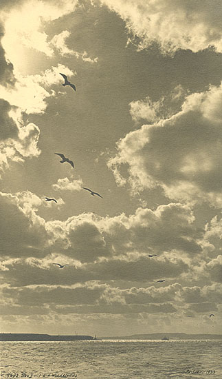 Seagulls and Wind Clouds