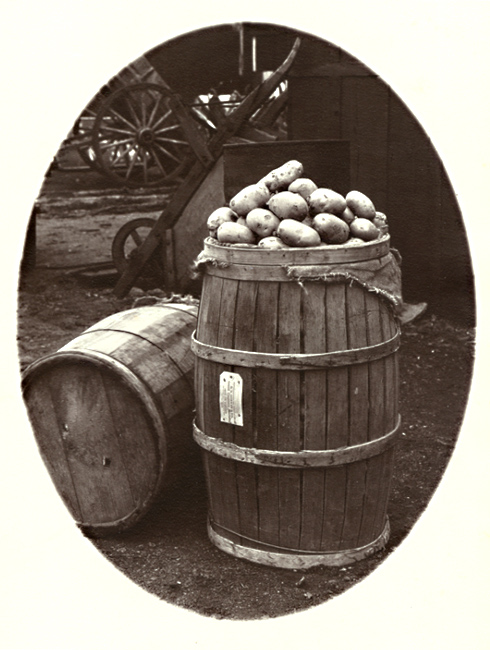 George A. Eisenman - Barrels, Potatoes and Wheelbarrows