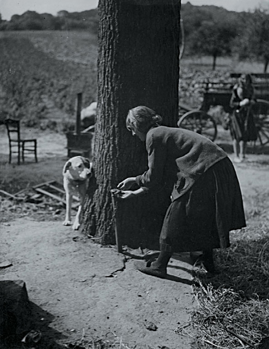 Andre Kertesz - "Do They Play Hide and Seek?" (Girl Ties up Dog to Play)