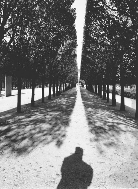 Stanko Abadžic - Trees and Shadows Stanko Abadžic - Trees and Shadows