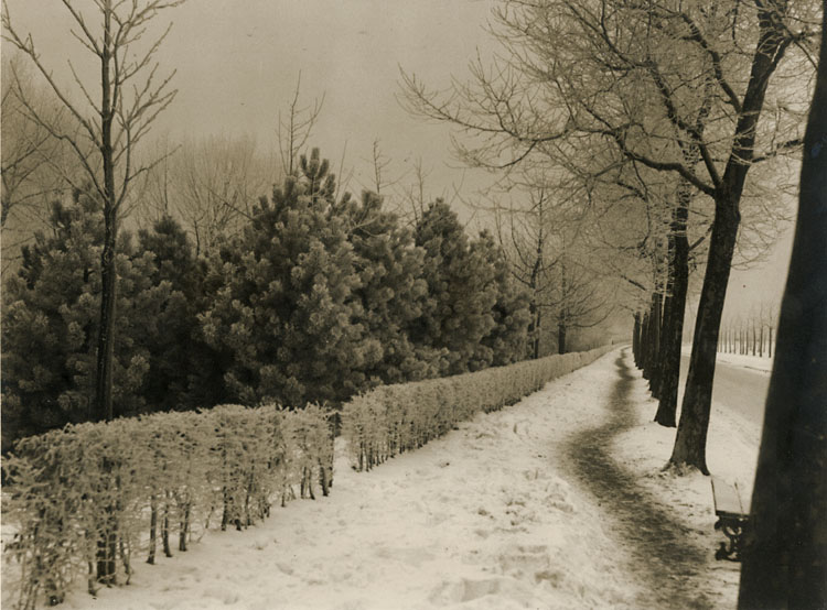 Germaine Van Parys - Roadside Landscape in Snow