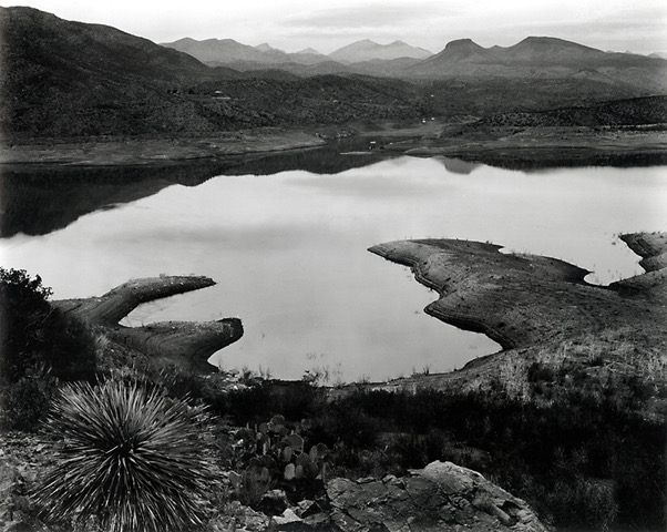 Edward Weston - Arizona (San Carlos Lake)