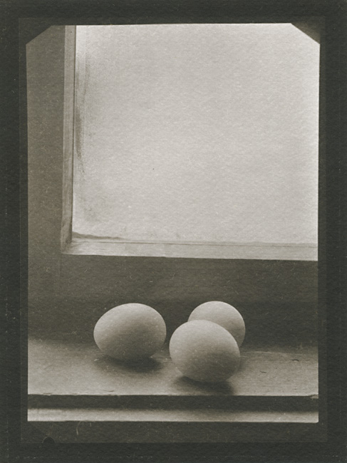 Richard Homola - Still Life (Eggs on Shelf next to Window)