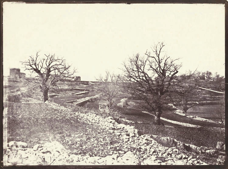 Charles Negre - Chênes en Hiver (Oak Trees in Winter)