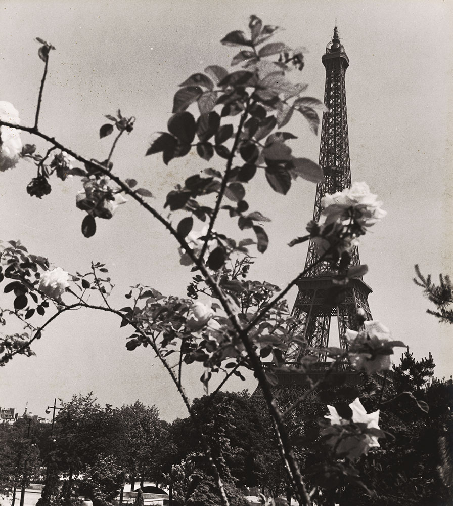 Albert Monier - Eiffel Tower in Spring, Paris