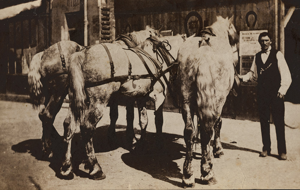 E. Benard (Editor) - Man and Three Horses