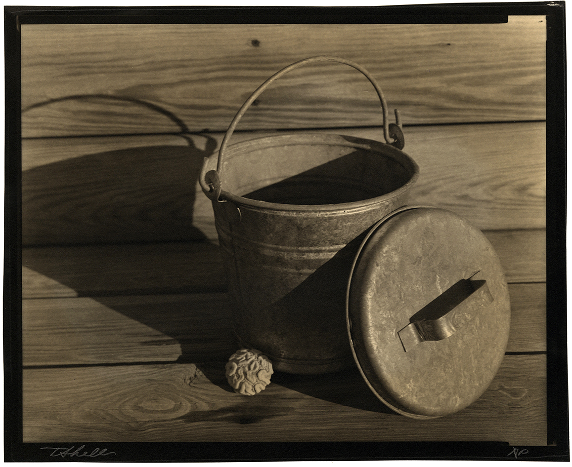Thomas John Shillea - Pail and Coral