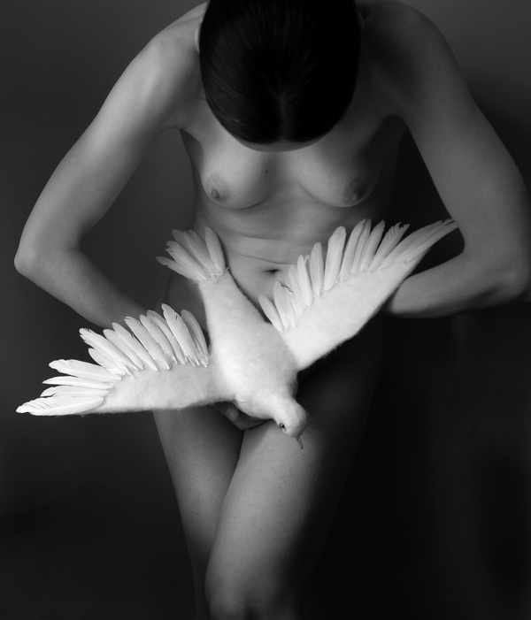 Stanko Abadžic - Female Nude with White Dove Stanko Abadžic - Female Nude with White Dove
