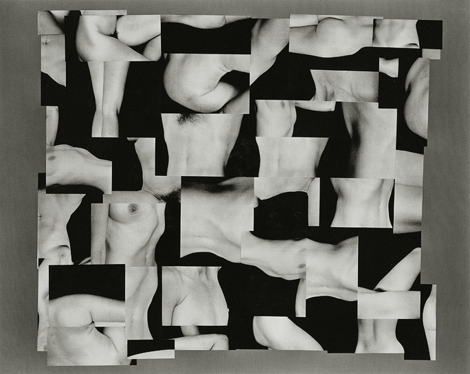 Paula Chamlee - Nude Collage #1 Paula Chamlee - Nude Collage #1