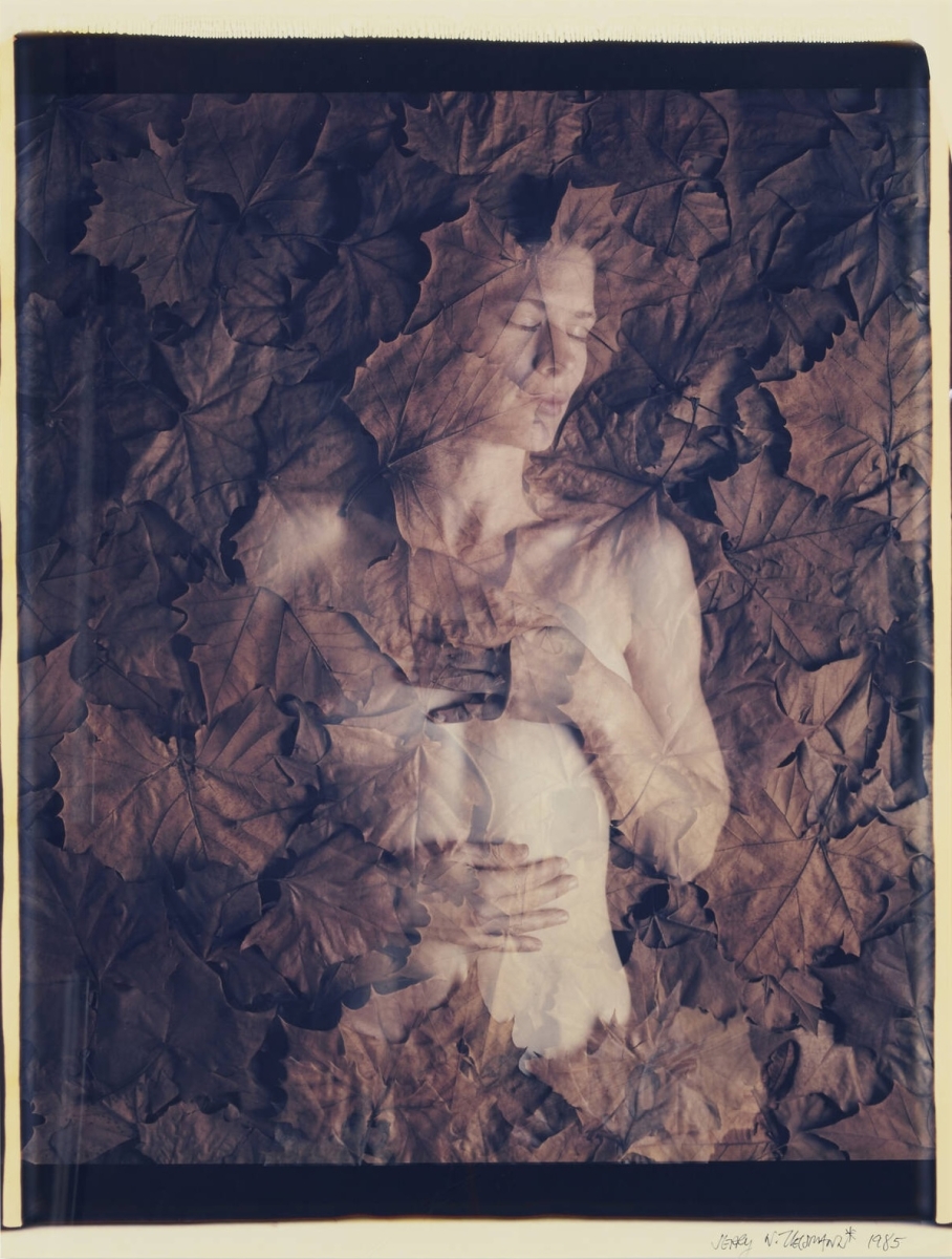 Click to view the Exhibit