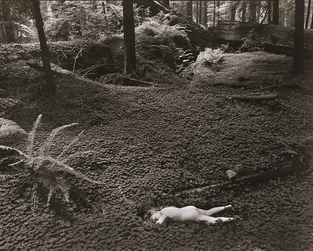 Wynn Bullock - Child in the Forest
