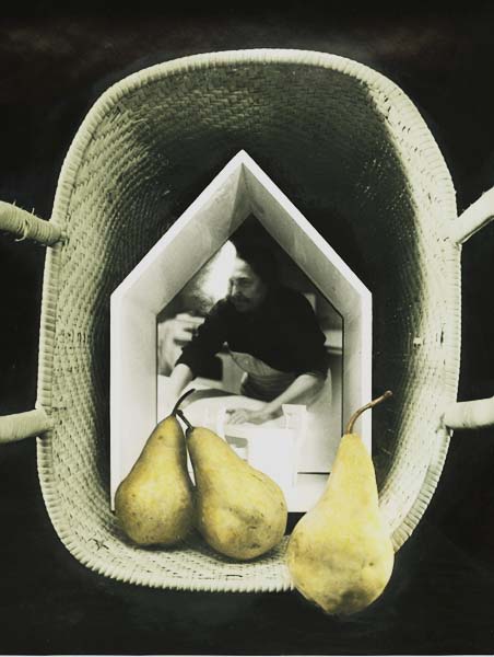Diane Farris - Pear Table (Still Life)