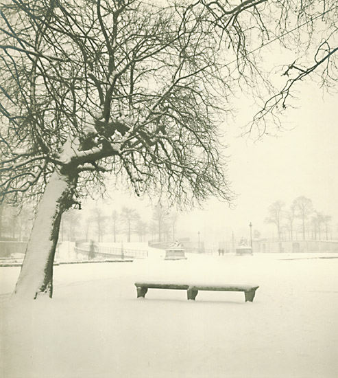 Marcel Bovis - Tuileries Gardens, Paris, in Snow