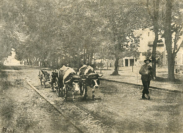 A. P. - Man Leading Oxen Carts up Street