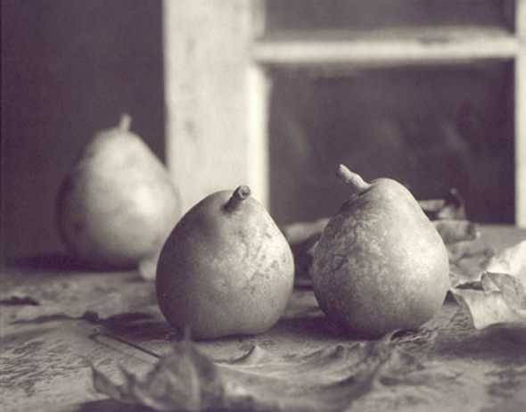 Ray Bidegain - Pears with Leaves