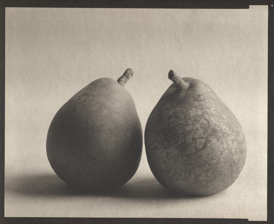 Ray Bidegain - Pears with Leaves