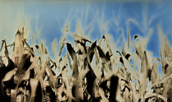Charlie Schreiner - Corn