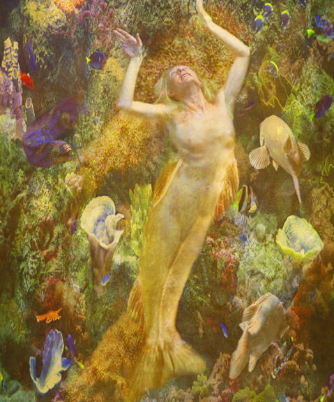 Claudia Kunin - The Mermaid