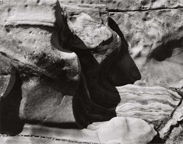 Paula Chamlee: Point Lobos, California, 2002. Silver chloride contact print, 8 x 10 in. (203 x 254 mm), 2002/2002, on original mount. 16736.