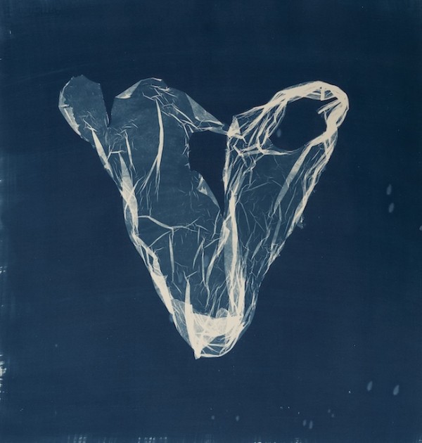 Suzette Bousema, Future Relics 40, 2025. © Suzette Bousema. The image is part of the current exhibit, 'Awakening in Blue: An Ode to Cyanotype, which runs until June 7th.